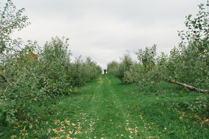 Quonquont Farm