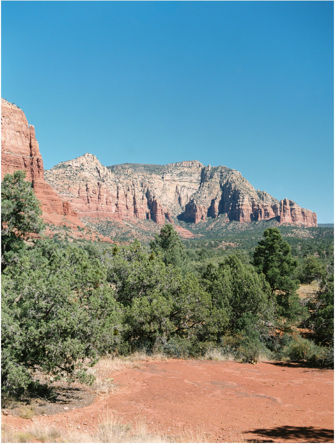 Agave of Sedona