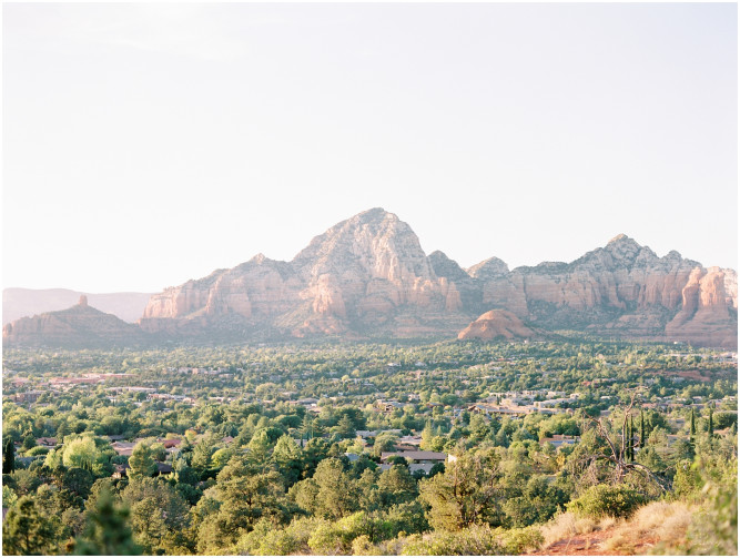 Agave of Sedona