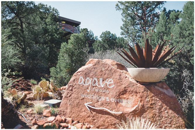 Agave of Sedona