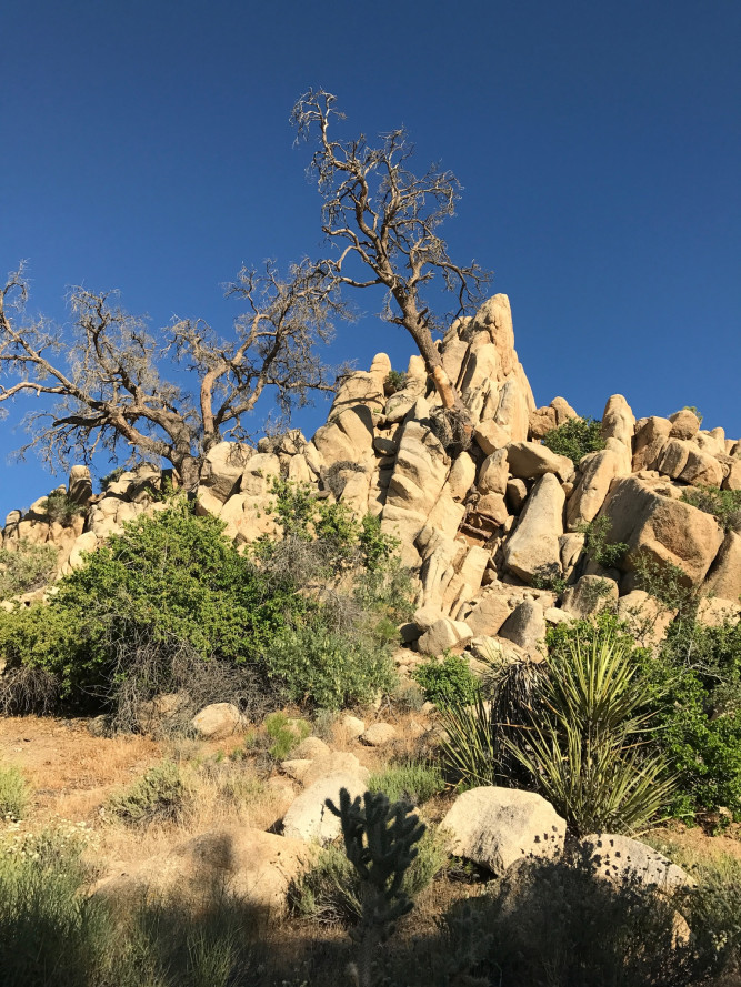 Boulder Grove Ranch