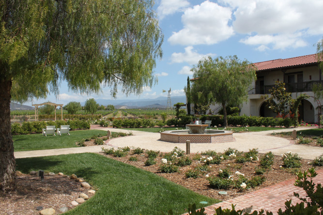 Ponte Winery & Vineyard Inn