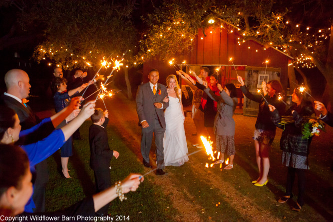 The Wildflower Barn