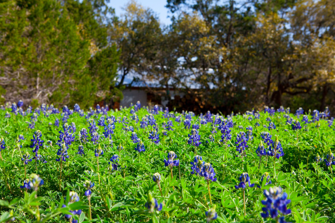 The Wildflower Barn