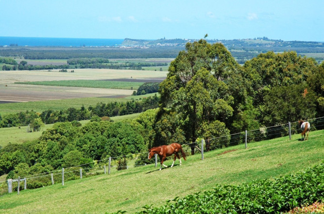 Pindara Estate