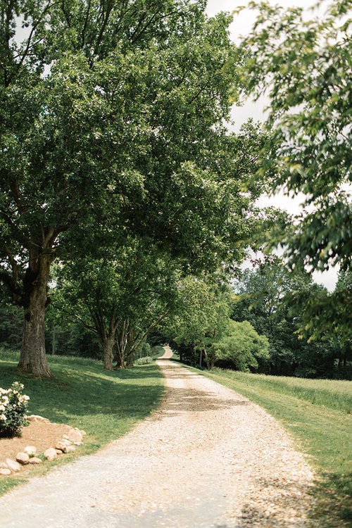 Sweet Meadow Farm and HomePlace