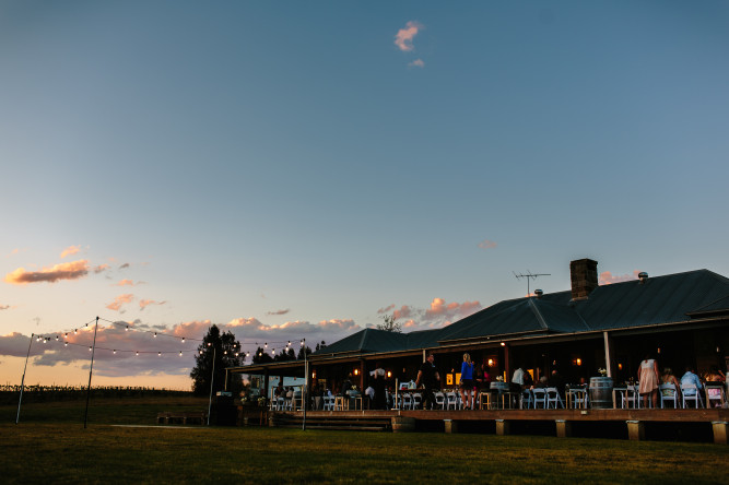 Hanging Tree Wines