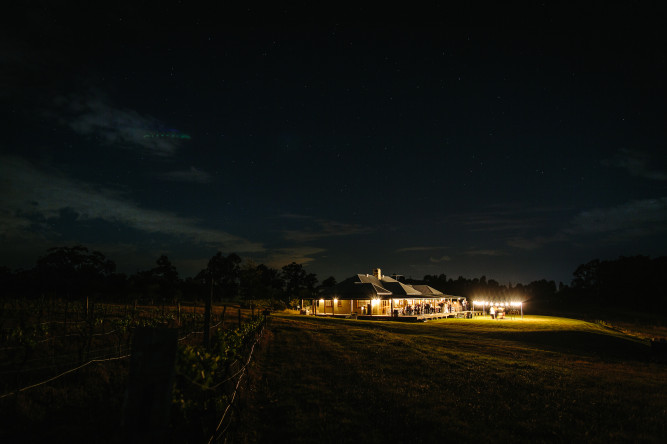 Hanging Tree Wines