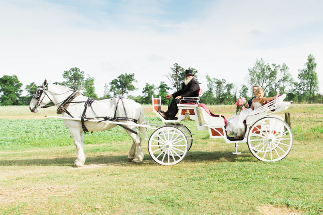 Lockhaven Farm