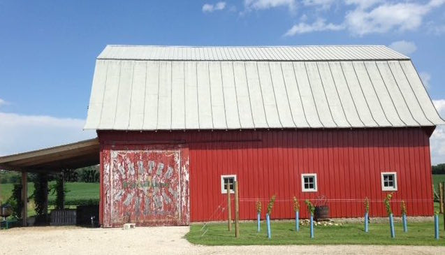 Vineyard at Porter Central