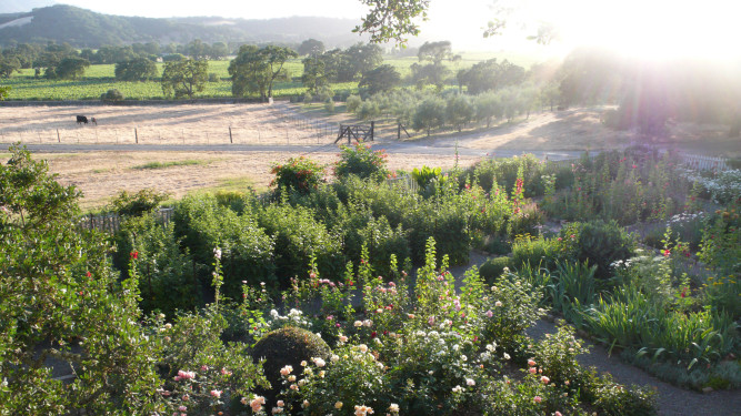 Beltane Ranch