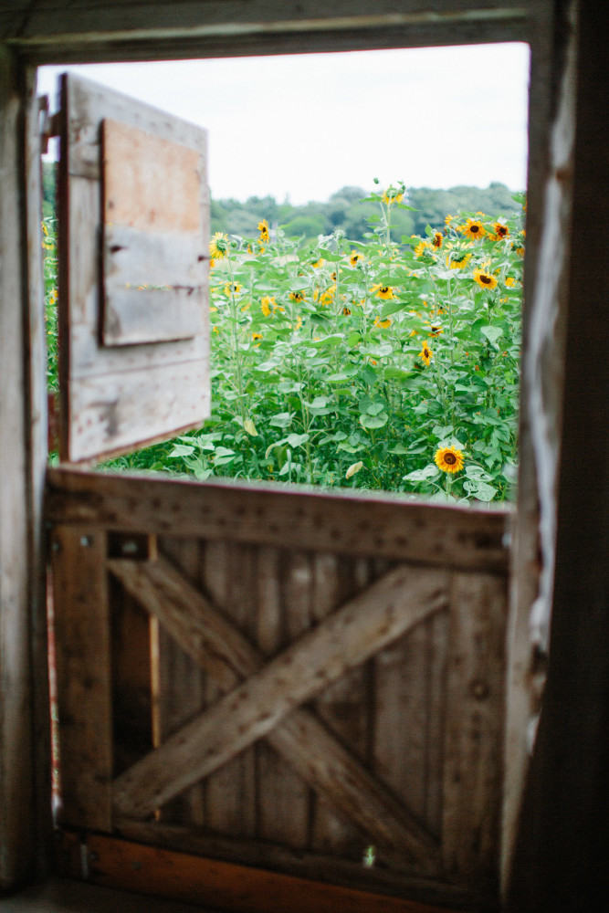 The Barn at Wagon Wheel Farm