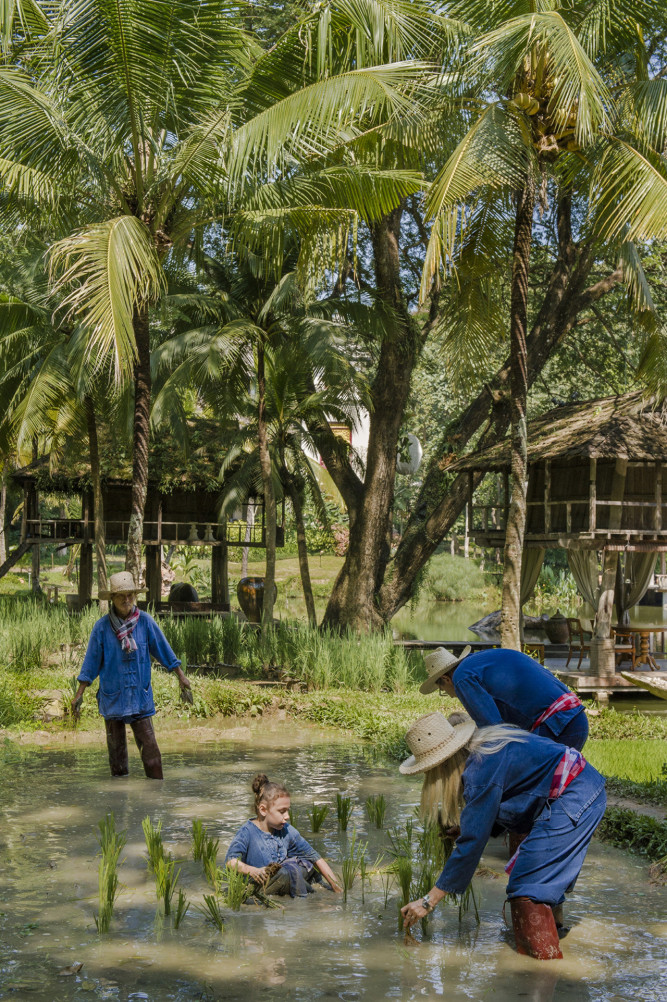 Four Seasons Resort Chiang Mai