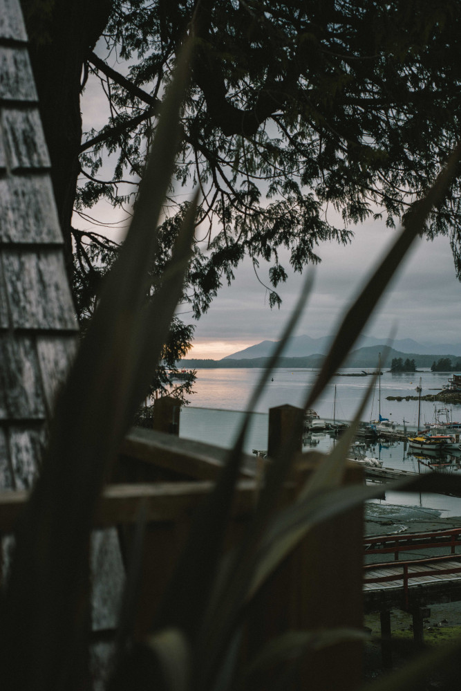 The Shoreline Tofino