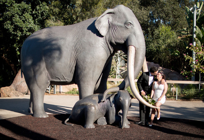 San Diego Zoo