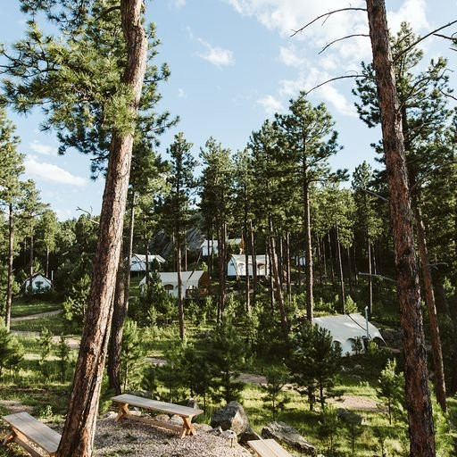 Under Canvas Mount Rushmore