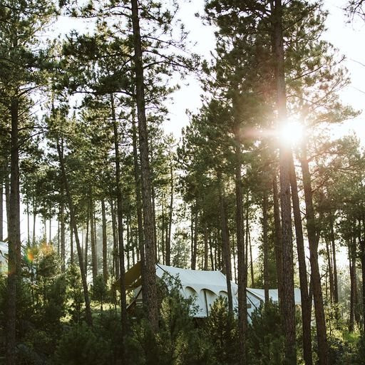 Under Canvas Mount Rushmore