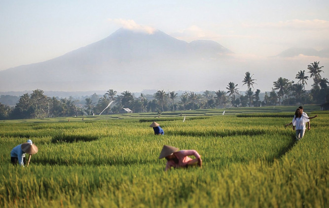 Soori Bali