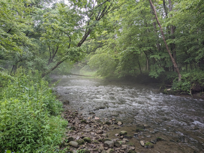 Blueberry Brook Farm Resort