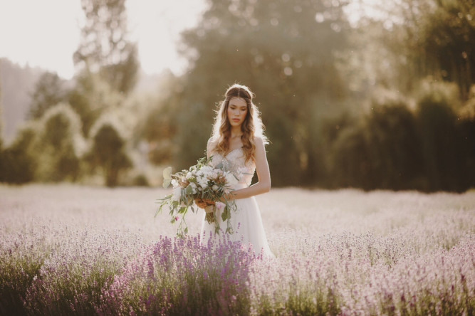 Woodinville Lavender