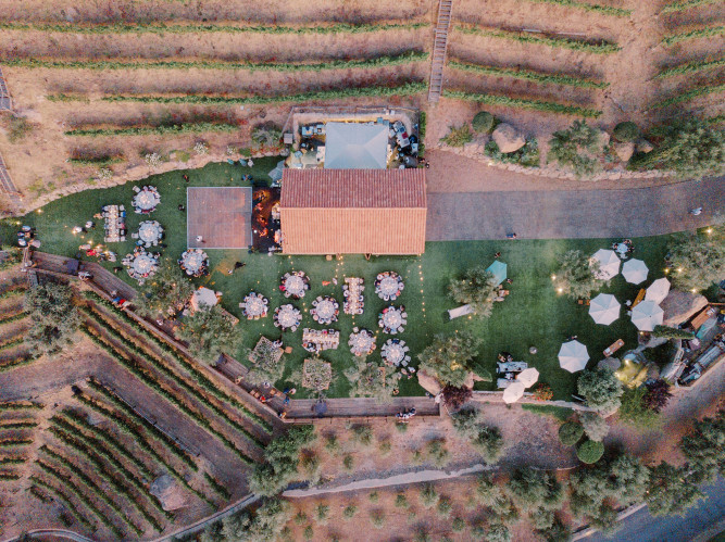 Cielo Farms