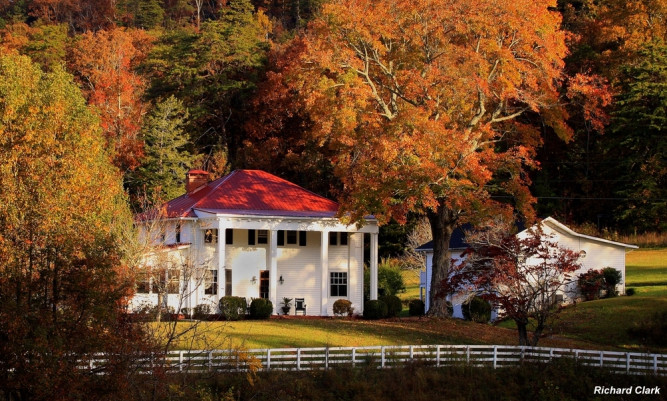 Mountain Laurel Farm