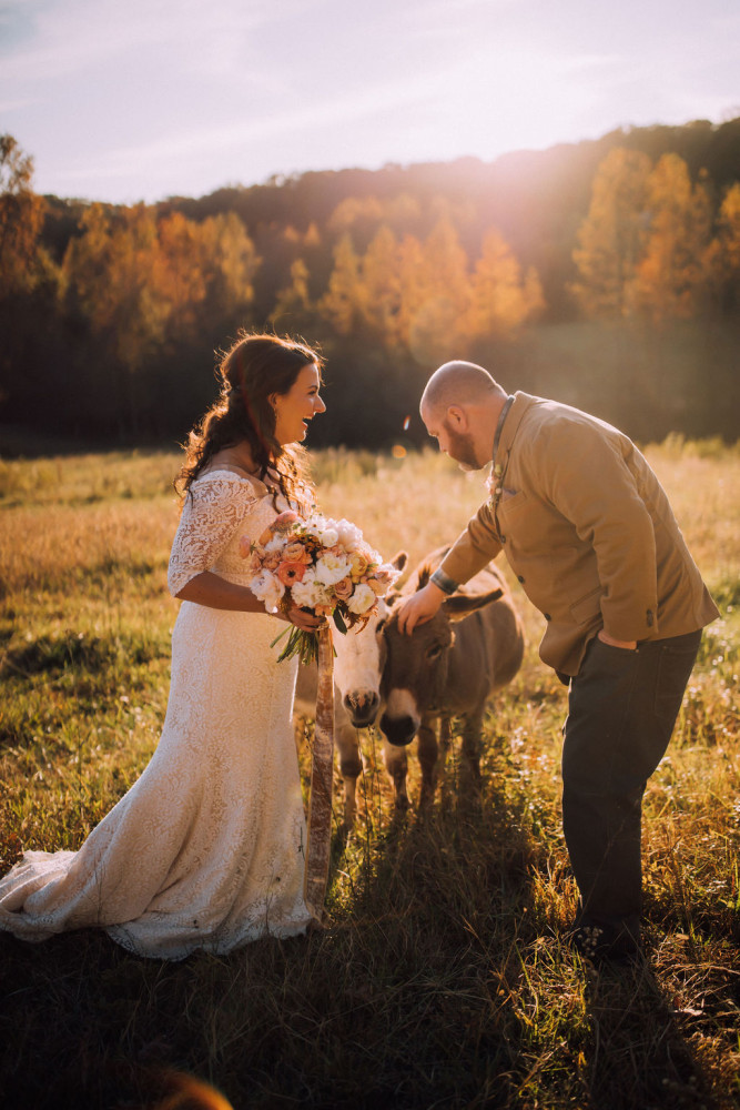 Mountain Laurel Farm