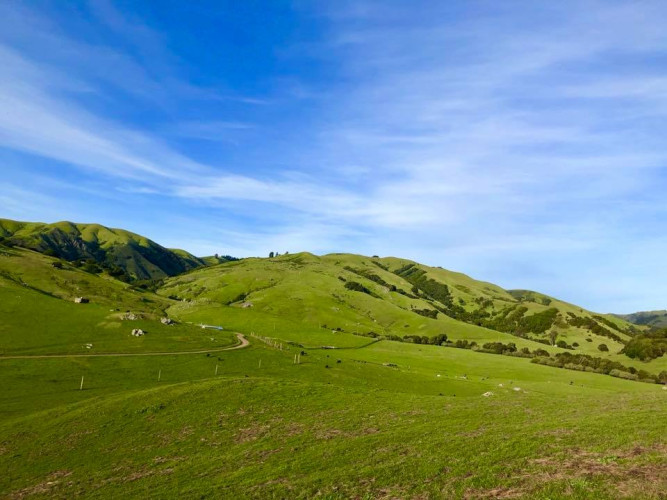 Cow Track Ranch