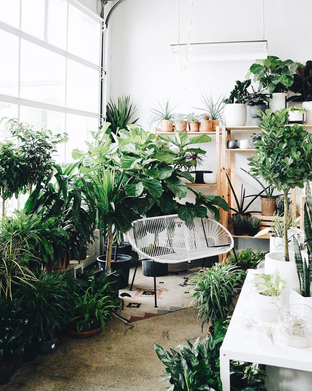 30 of the Cutest Plant Shops Around the