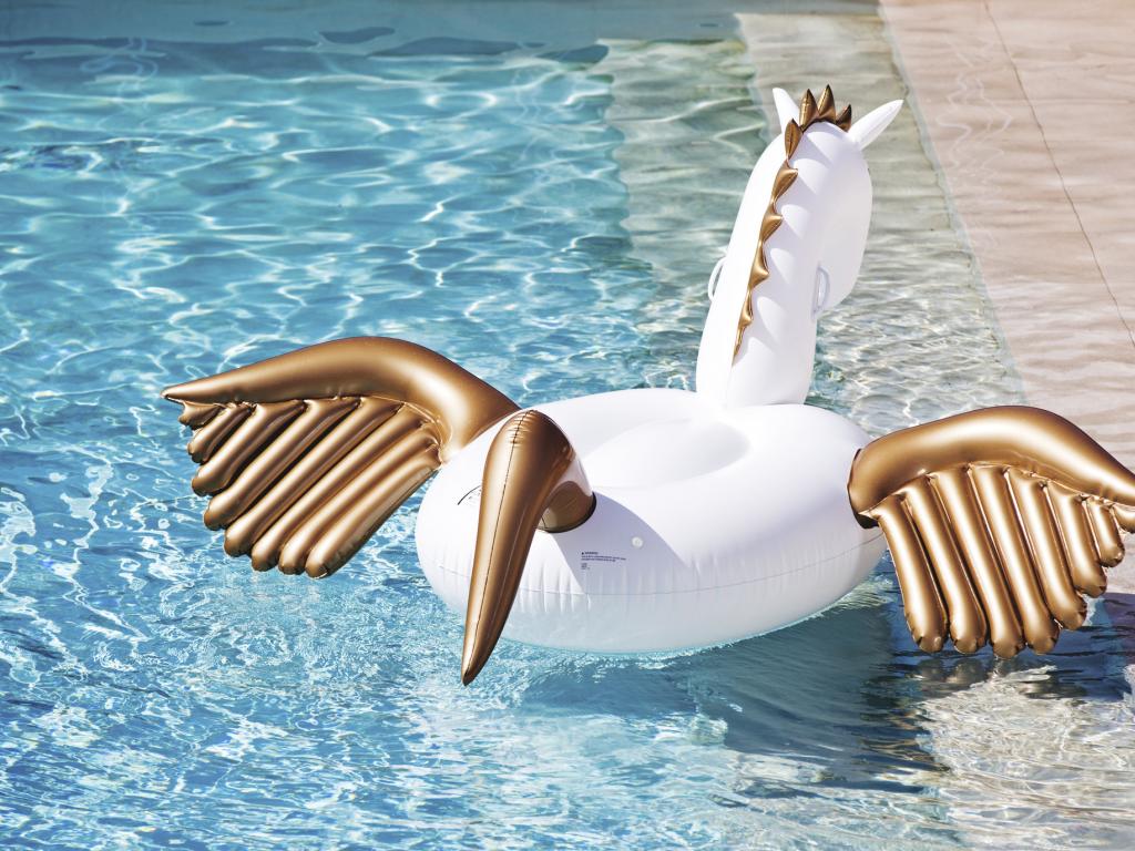 primark pegasus float