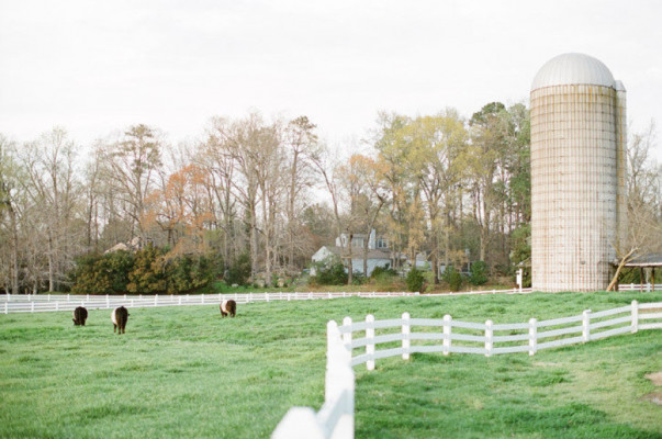 Fearrington Village Pittsboro  North Carolina  United 