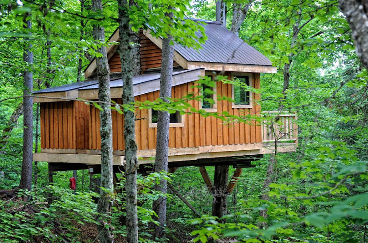 28 Most Amazing Treehouse Designs in the World